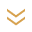 double_arrow_24dp_1F1F1F_FILL0_wght300_GRAD0_opsz24 1